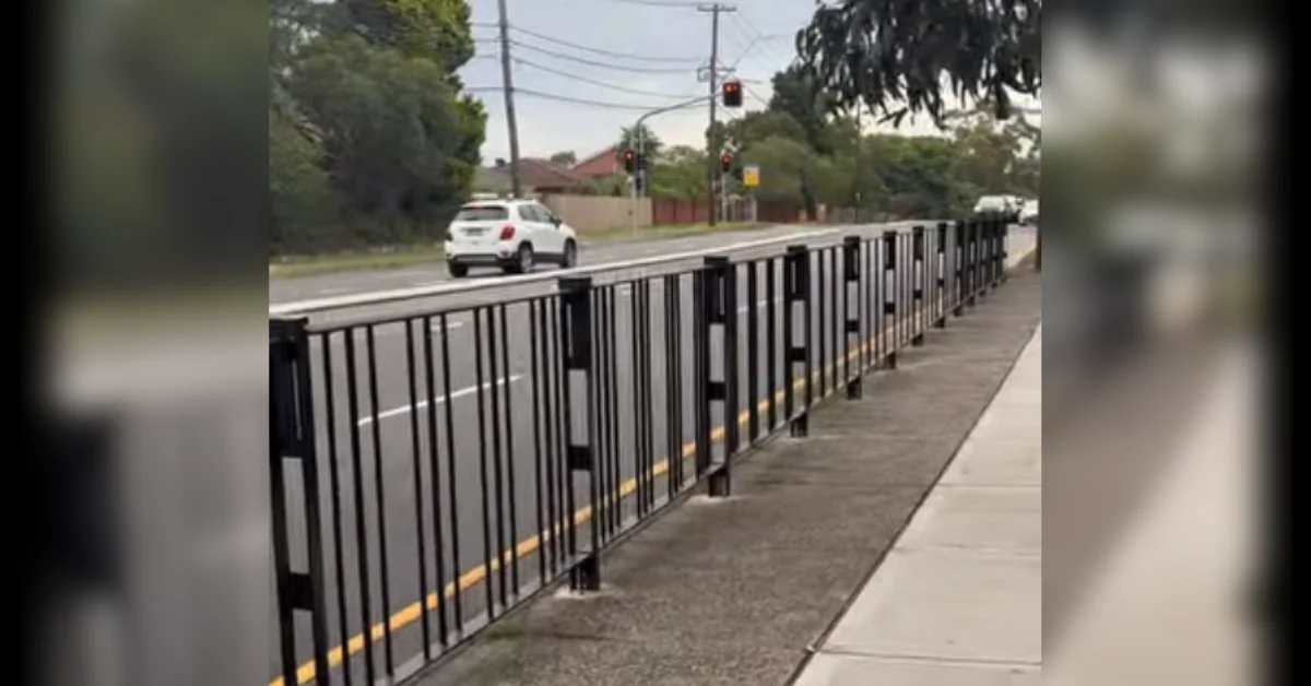 Safety Improvements On Forest Way Mark Win For Belrose Community