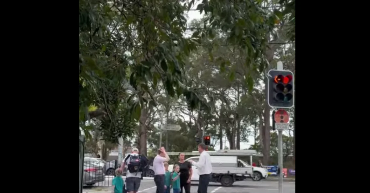 Wakehurst Public School