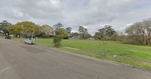 Belrose bushland